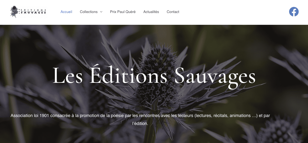 Capture d'écran de la page d'accueil du site web des Éditions Sauvages