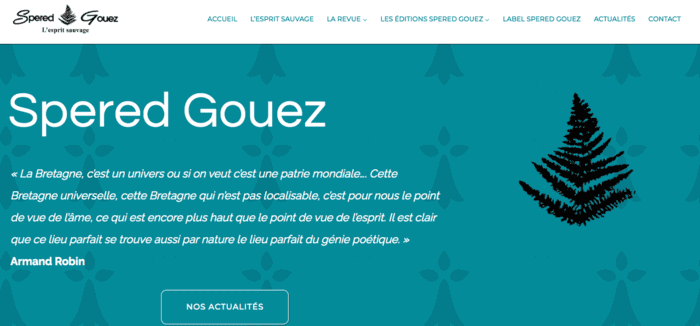 capture d'écran de la page d'accueil du site de Spered Gouez